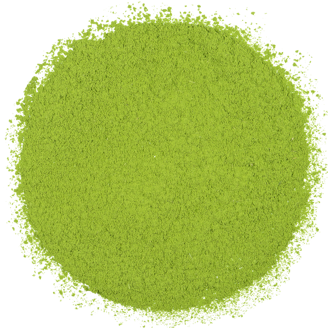 Groene thee Japan - Bio Matcha Wazuka (Limited Edition) 30g