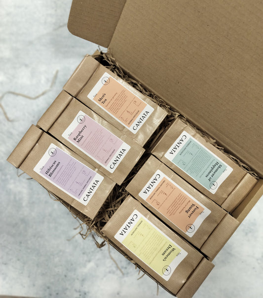 pack découverte tisanes