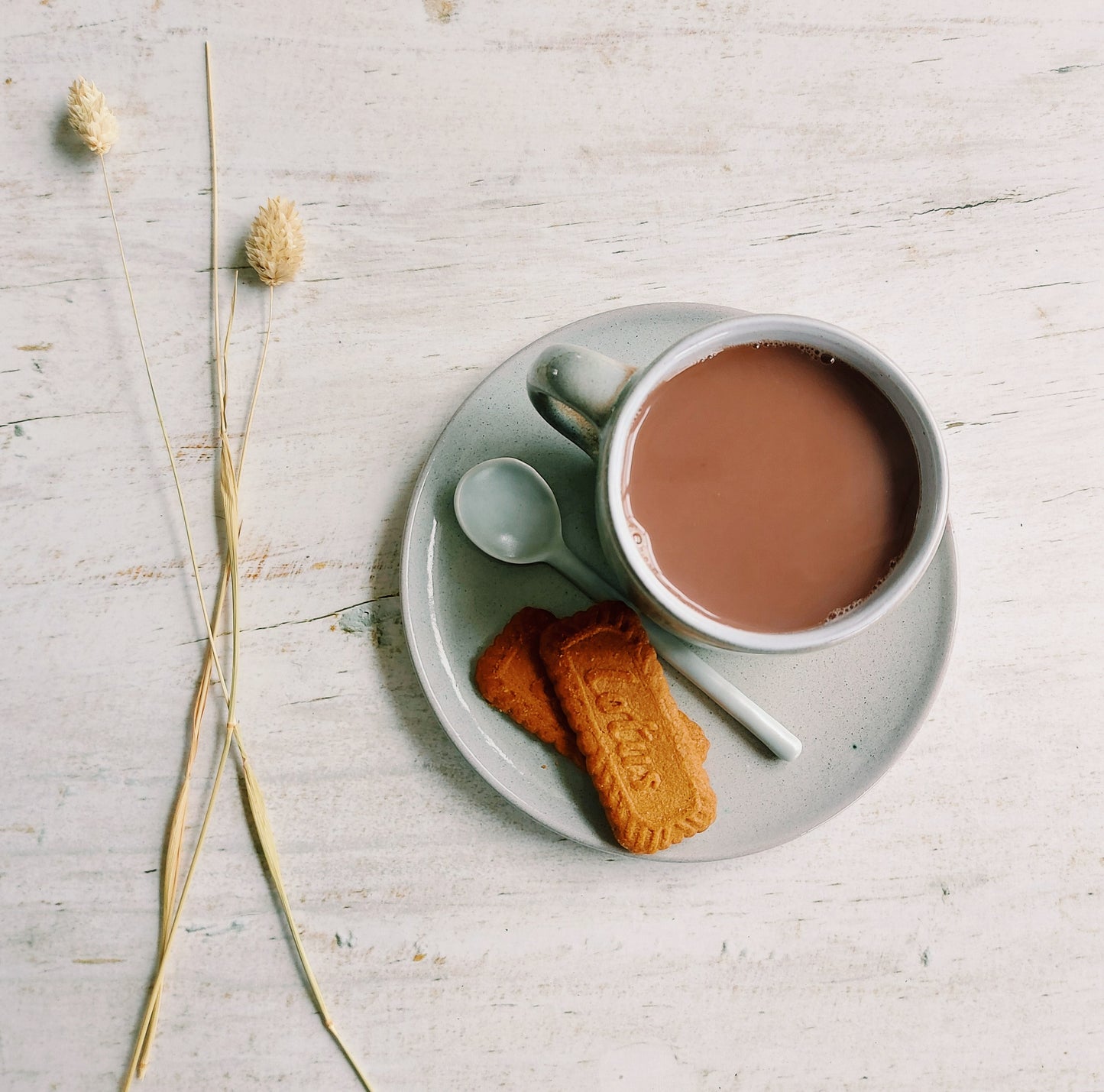 Speculoos Mashup - Instant Cacao